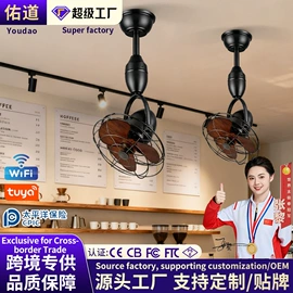 风扇灯;吸顶灯;吊扇