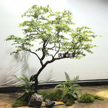 �����uצ����������ʽͥԺ�����Ą��@���^����¶̨�b|�������L