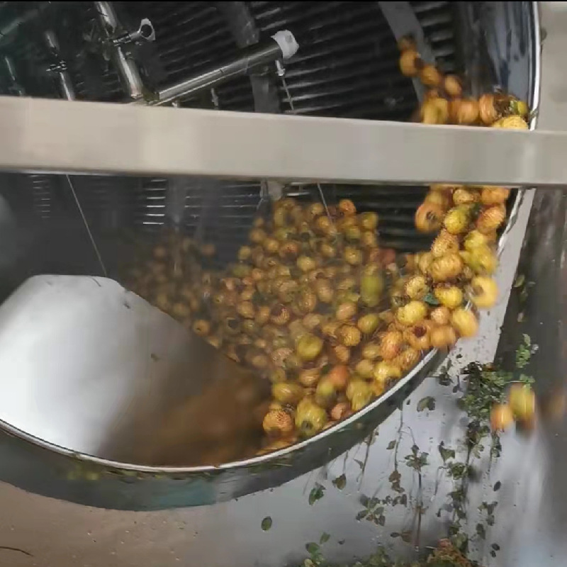 广西刺梨榨汁机 刺梨清洗榨汁机一体化设备 破碎机