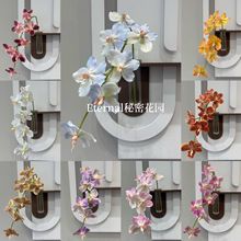 �����f���m���滨�����m̩���꿨���m��c�����m�ٻ��廨�p�ݼٻ�