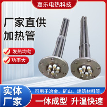 廠家供應電加熱管單頭管發熱管  法蘭式電熱單頭電加熱管