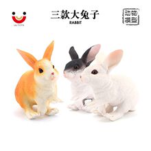 仿真农场动物模型新大兔子大白兔黑白兔黄兔儿童认知玩具摆件礼物