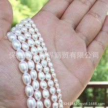 3A�l���������е�ˮ������ɢ������������Ʒ���Ʒ��� Pearl