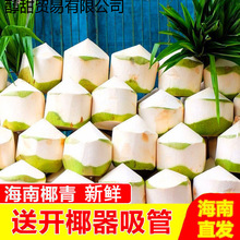 海南椰子新鲜椰青当季水果海南特产文昌热带大果椰汁批发整箱代发