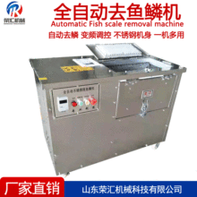 供应不锈钢刮鱼鳞机 全自动杀鱼机脱鱼鳞机 脱鱼鳞机价格电动