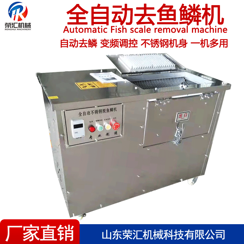 全自动不锈钢除鱼鳞机  厂家供应去刮鱼鳞机 高效率不破坏鱼肉
