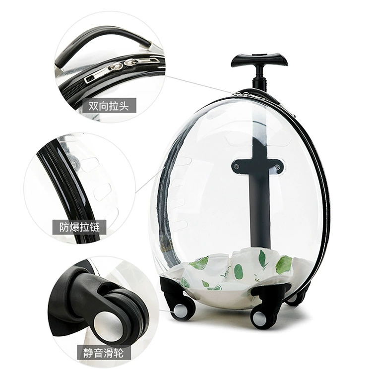 Capacious suitcase to go out, space handheld cart, pet