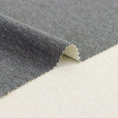 阳离子炫彩AB羊毛蚕丝 德绒面料 秋冬家居服儿童保暖内衣布料
