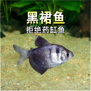 �Lβ��ȹ�~���ϻ���ʹ�~�Ꭷ�~�^�p�~С�͟Ꭷ��ˮ