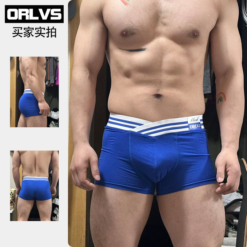 [Coach's Real Shot] Navy Blue Stripesd Large V Belt Underwear Men's Modal U Convex Boxer Shorts Or6247
