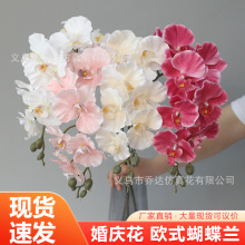 ��������m�Wʽ��c�ٻ��b��滨�廨��ˇ��Y�ߙn������Y��