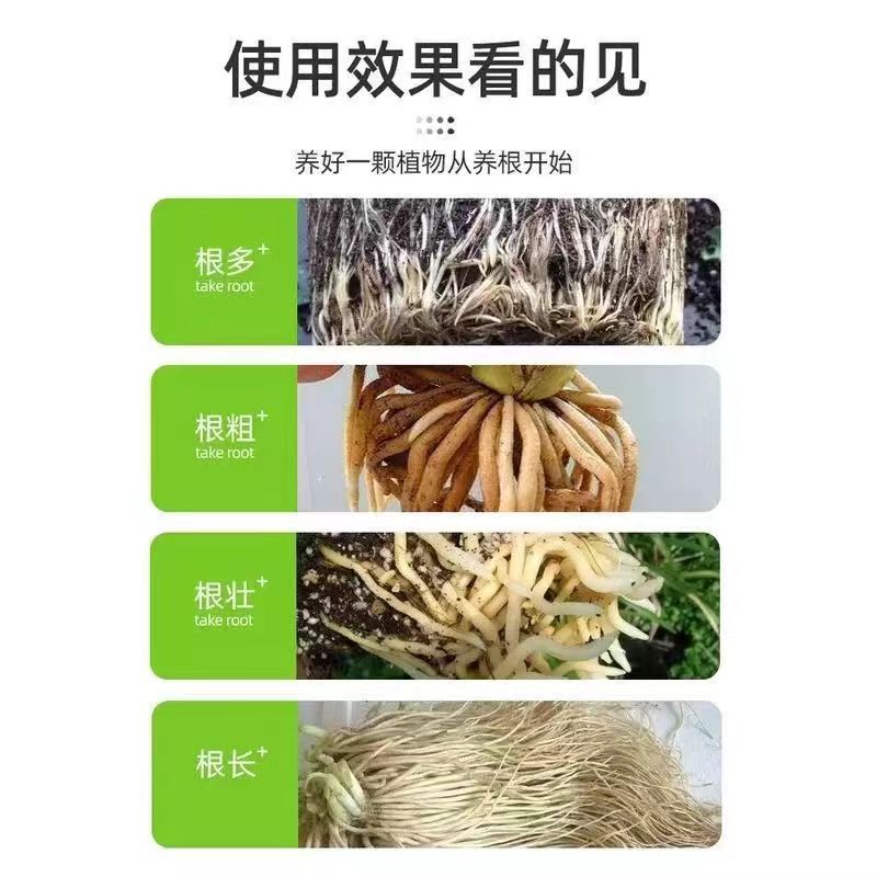 奥绿芬5