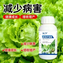 �߲��o�G���߲˾Gֲ�I�BҺ���������������ϰײ˸��{�~���ˮ����