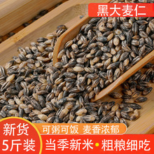 五谷杂粮熟黑麦仁五谷杂粮现磨豆浆原料批发黑小麦黑麦米