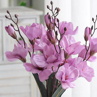�������m�� С�ѻ���ɫ���m��c�ҾӔzӰ�[���b�ins�����廨�ٻ�
