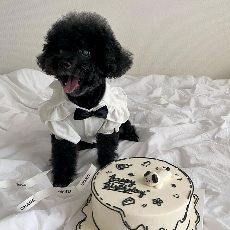Estilo coreano primavera y verano perro camisa Plaid suspender falda traje gato houndstooth falda Teddy ropa para perros mascotas