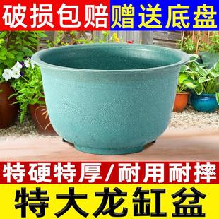 ���ϴ���Ӻ��ش�̖�a�N������ͥԺ��������̎��