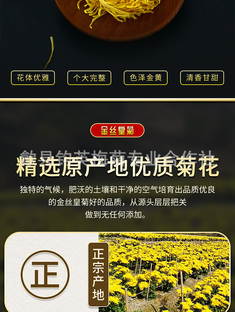 金丝皇菊-大详情页_02.jpg