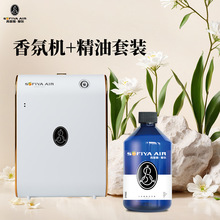 ��ՙC+���ͽM���b �Ƶ�ͷ��̈��l���g����Ժ�������֘ǔU���ζ