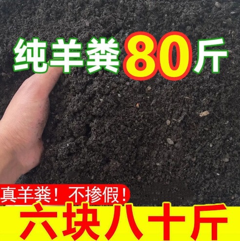 花、野菜、果物用の羊糞発酵有機肥料、野菜や花を育てるための特別な純粋な鶏糞、一般分解羊糞肥料|undefined