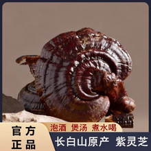 紫灵芝整个野生不苦超细正品人工采摘细粉灵芝切片批发特级紫灵芝