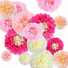 新品跨境厂家花蕊纸花双色双层纸花球纸绒球纸巾拷贝纸派对装饰