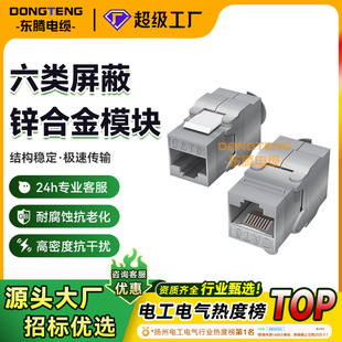 Processing and Customization of Category 6 Shielded Zinc Alloy Network Module 10g Information Network Cable Module Metal Cat6 Without Punching