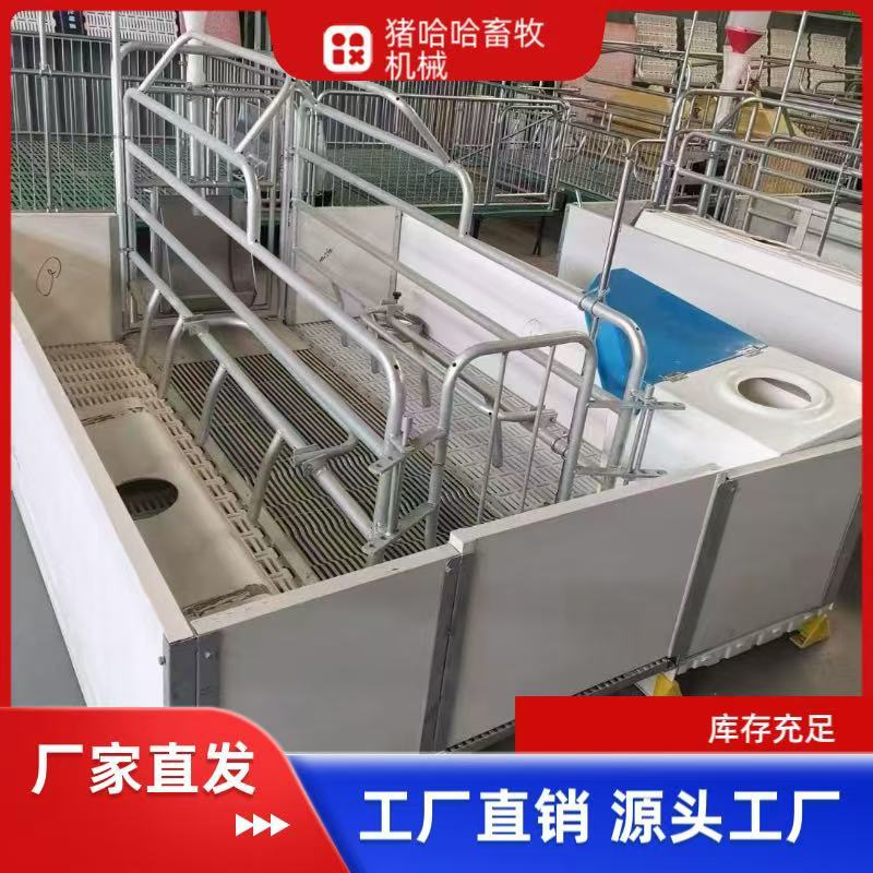 母猪产床 欧式产床单体双体高产护仔