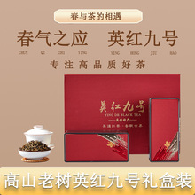 春茶英德红茶浓香型英红九号金毛毫礼盒装批发高山老树1959新茶