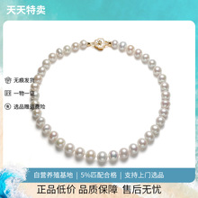 2025¿TߵˮŮB߼pСëii