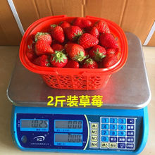 草莓采摘篮塑料水果篮2-5斤蓝莓樱桃桑葚杨梅手提塑料筐快递包邮