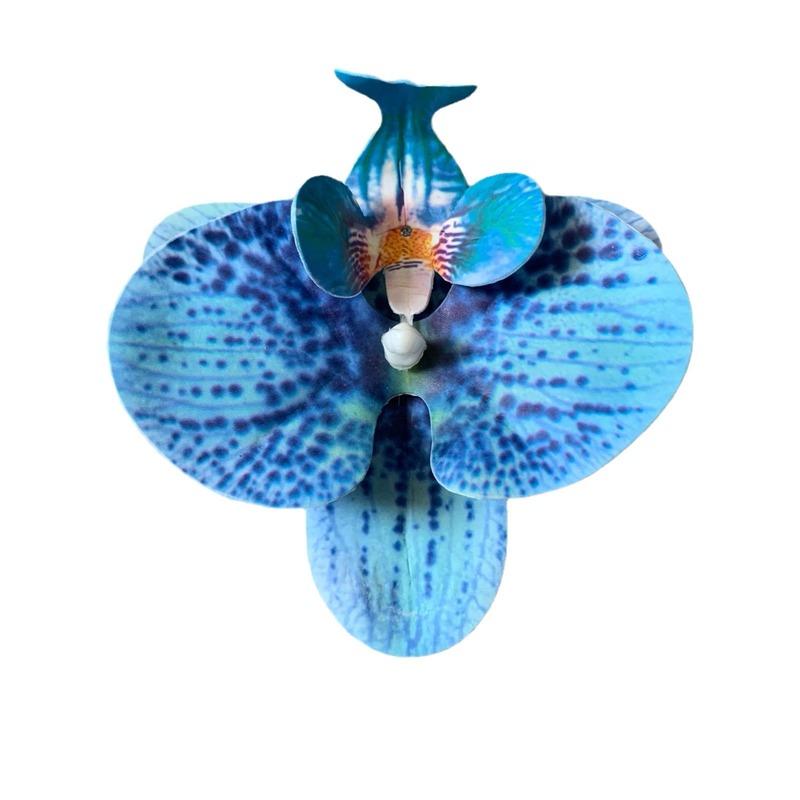 ネット赤蝶蘭花頭3dプリントフィルムシミュレーションdiyカード装飾花9センチお土産喜糖箱|undefined