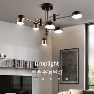 �羳110V��ʽ�p�ݱ��W���͏d���₀�����ҟ�4�^6�^�X�ĵ���