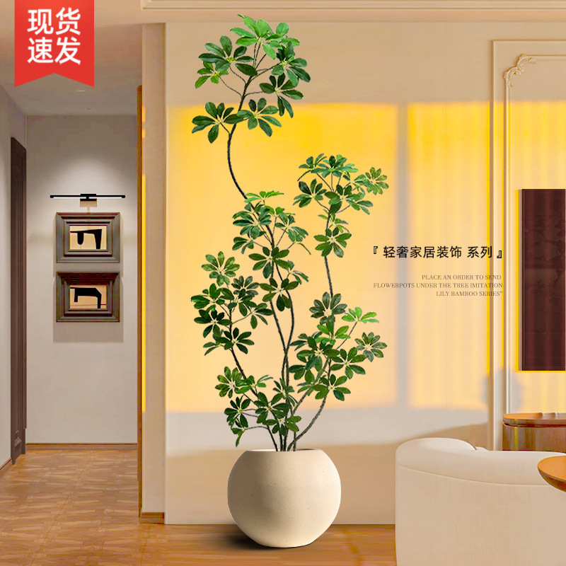 Shape Duck Foot Wood Living Room Large Potted Duck Foot Wood Goose Foot Wood Indoor Floor-Standing Large Four-Season Evergreen Green Plant