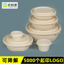 碗可降解餐具餐盒玉米淀粉汤碗带盖保鲜便当外卖打包专用外卖专用