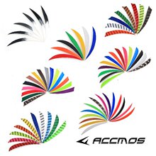5Ӣ����� /ˮ�Ηl�y�Բ�����ɫ��ë���u�����y���C���羳���N