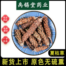 �Ŀݲ���ș�����l���x��؛�oɳ�Ŀݲ��Ŀ����鳲ݿ����Mĥ��