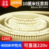Self-adhesive 2835-120 beads 10 cm shears [Neutral light]