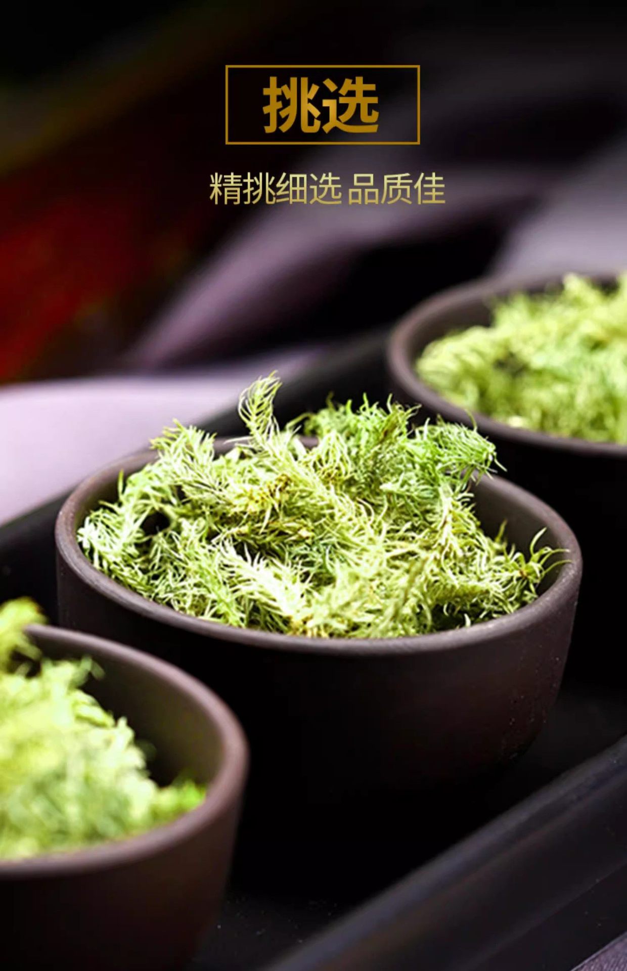 Tou Gu Cao透骨草 Dried Chinese Herbs 500g Traditional External Herbal Soak quality and texture
