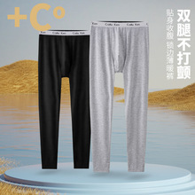 男士纯棉秋裤保暖线裤薄款秋冬单件棉毛衬裤全棉打底男裤厂家直销