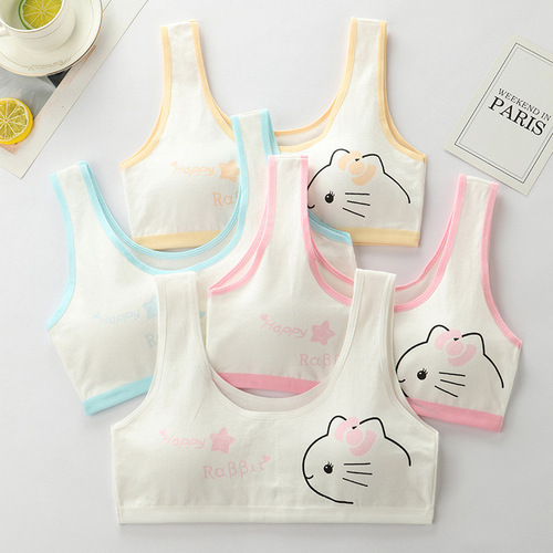 Girls' underwear, primary school girls' development period underwear, junior high school students, adolescent students' bras, girls' vest bras