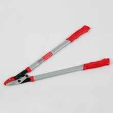 sunsong���� ���� �@�ּ���ժ������֦�� ��֦�� �߼��h�ʼ� ֱ�N