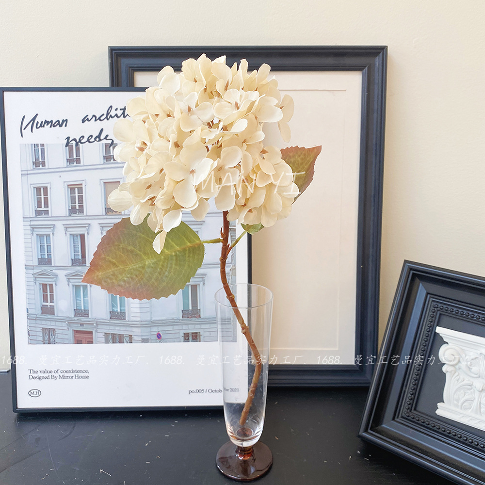 Hortensia de madera blanca