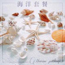 [ƷĔzbؐins߱ǵСzӰ