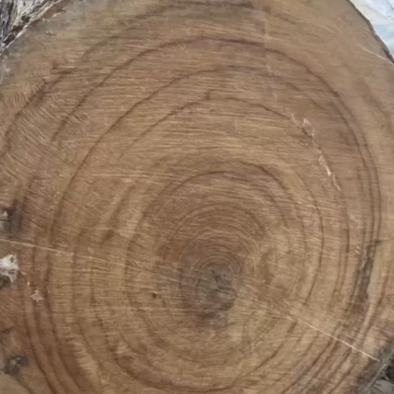 香樟木原木板香樟木原木片香樟木板原材料雕刻料量大优惠