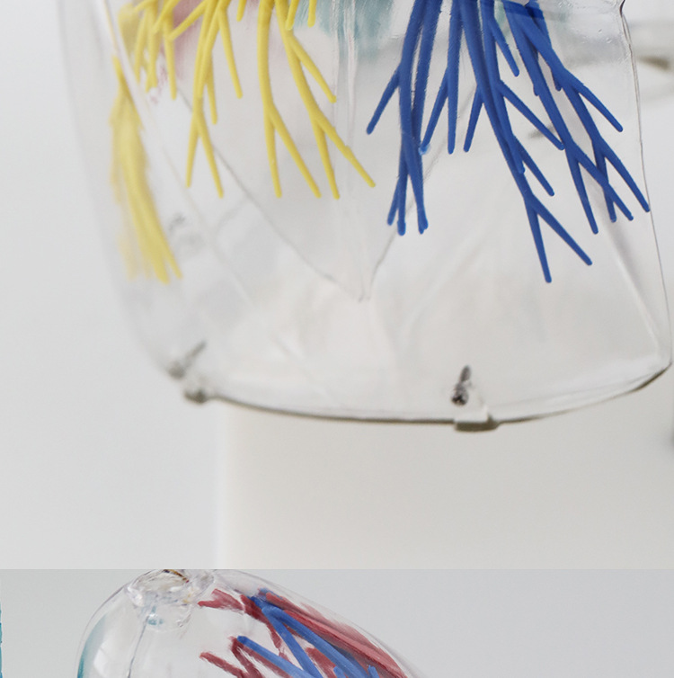 O1CN014iOXnQ2Kk6Xt05v3J_!!3578