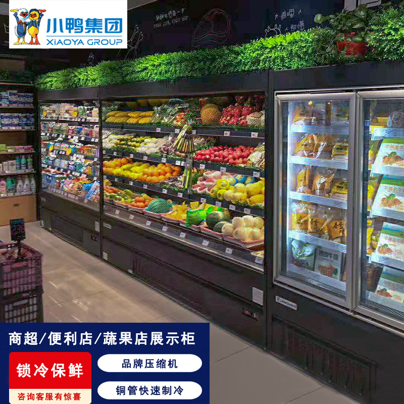 E8纽约商用展示柜冷藏柜商场超市冷柜双门啤酒柜可选玻璃门