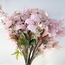 ������ɫϵ��c��픷��滨�Ƶ��̈���Y��ܛ�b�ٻ���픽����廨