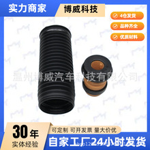 开迪05-07,1K0412303H,6N0 413175A,324E1137H前减振器修理包