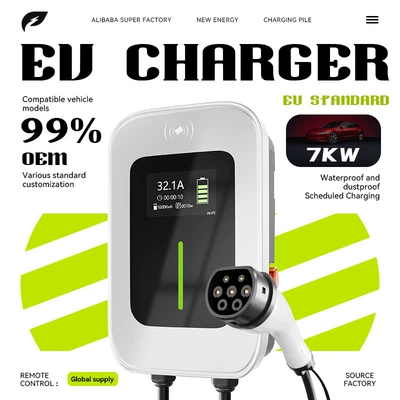 European Standard Customized Home-Use 7Kw New Energy Vehicle Outdoor Rainproof and Dustproof Card-Swipe Unlock Type2 Charging Station (Elektrikli avtomobil şarj stansiyaları)